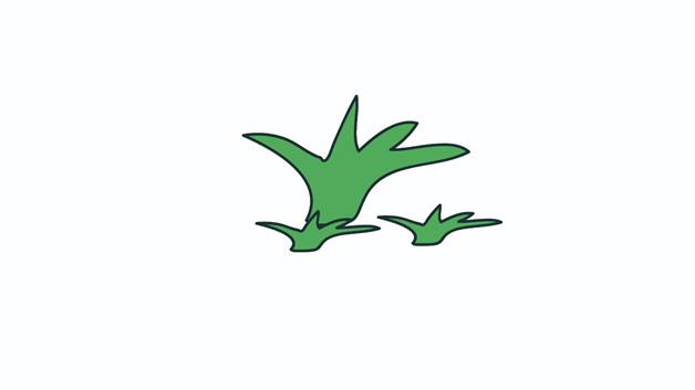 草丛的简笔画怎么画 草丛简笔画画法