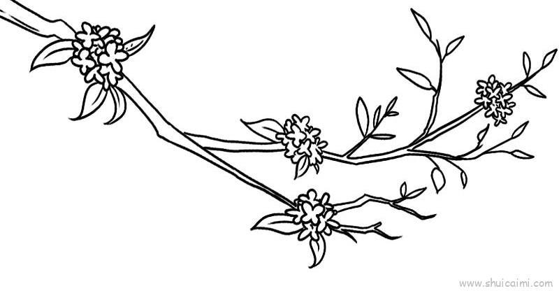 桂花树儿童画怎么画 桂花树简笔画图片大全