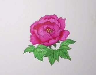 牡丹花的简笔画 牡丹花的简笔画简单漂亮