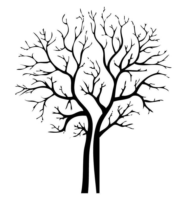 树干简笔画图片 光秃秃树干简笔画图片
