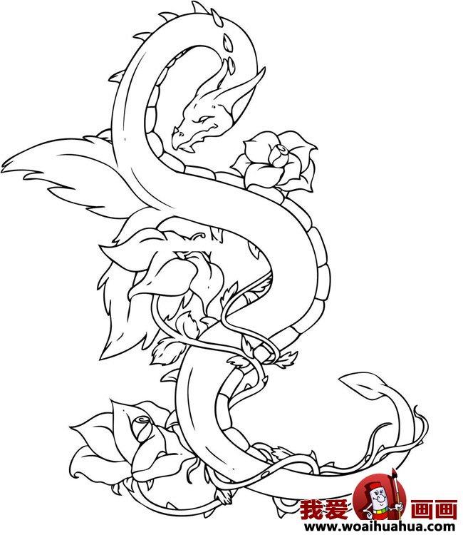 龙各种卡通龙的图片大全简笔画怎么画 龙各种卡通龙的图片大全简笔画简单