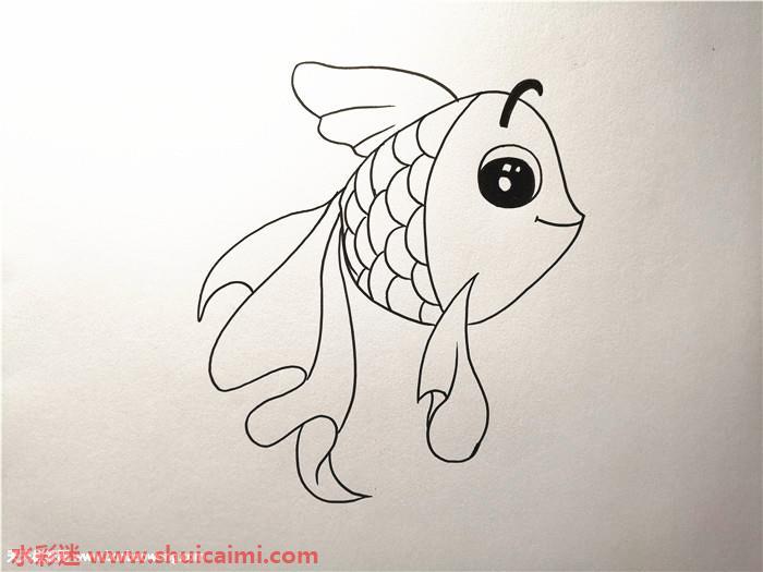 小金鱼怎么画 小金鱼简笔画画法