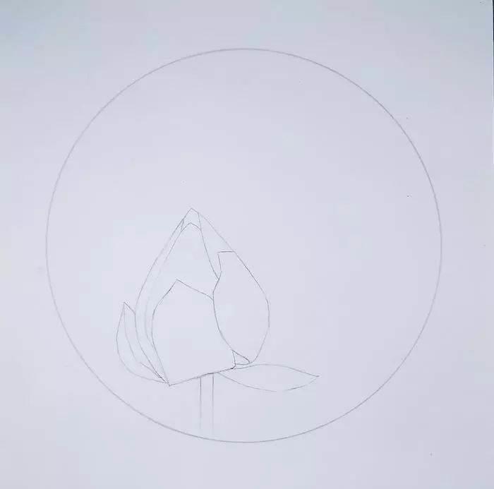 小荷才露尖尖角简笔画 小荷才露尖尖角简笔画彩色