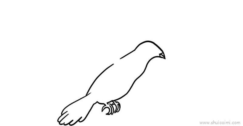 和平鸽儿童画怎么画 和平鸽简笔画图片大全
