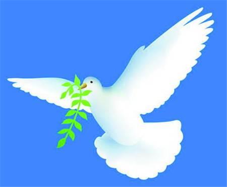 和平鸽子简笔画 和平鸽子简笔画带颜色