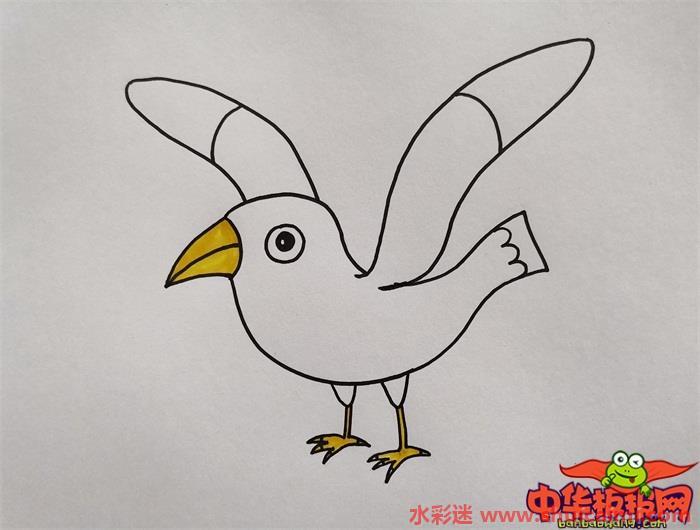 最海鸥怎么画 最海鸥简笔画简单易画彩色
