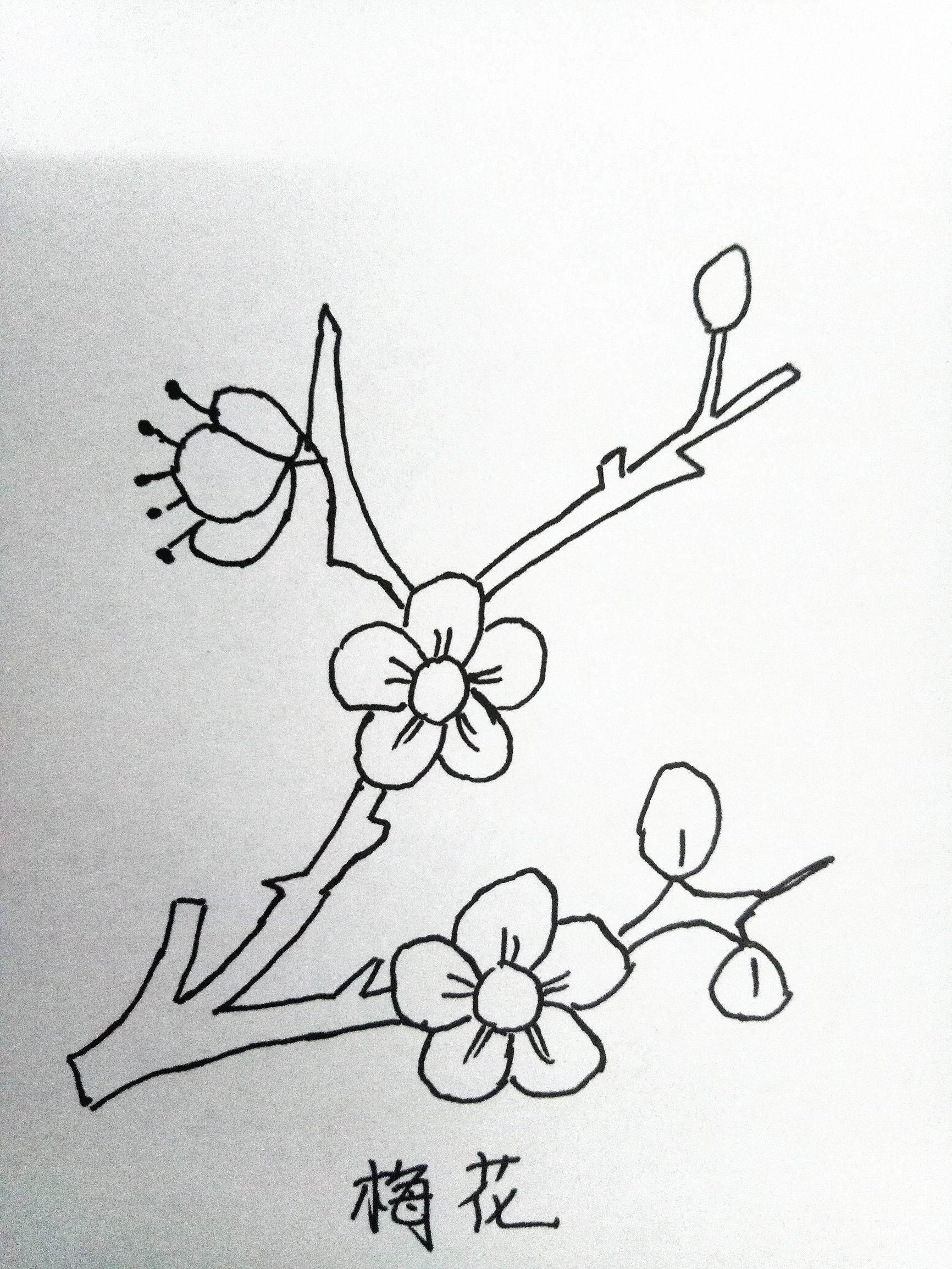 画花简笔画 如何画花简笔画