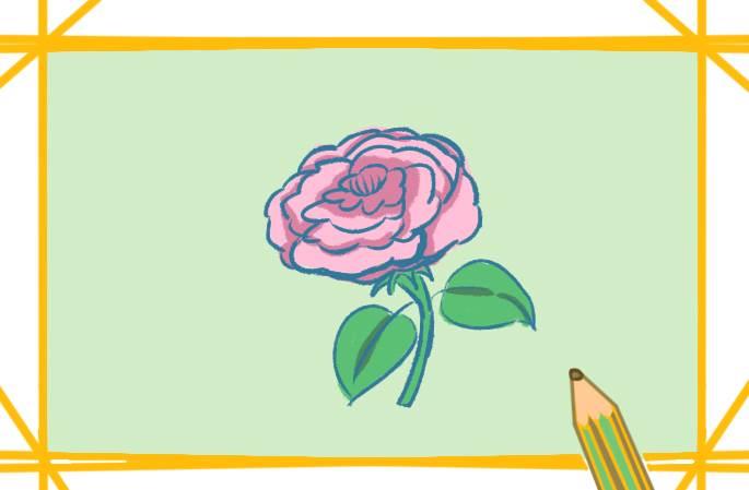 牡丹花简笔画 牡丹花简笔画简单又好看