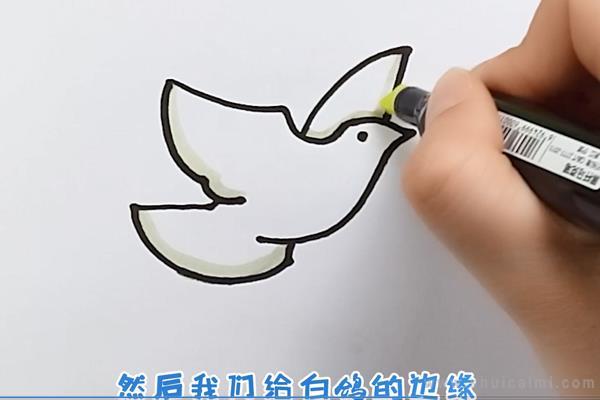 白鸽简笔画怎么画 白鸽简笔画图片
