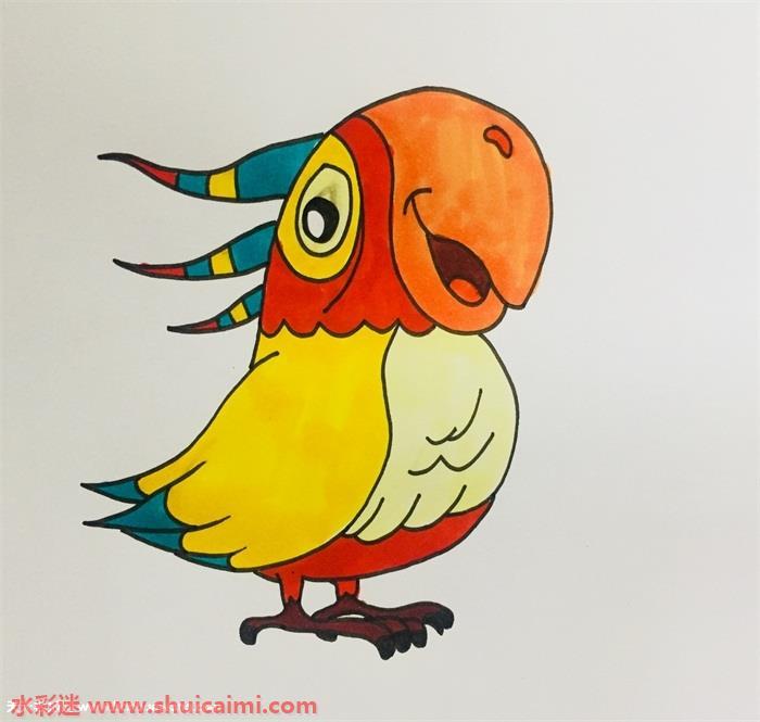 鹦鹉怎么画 鹦鹉简笔画步骤图