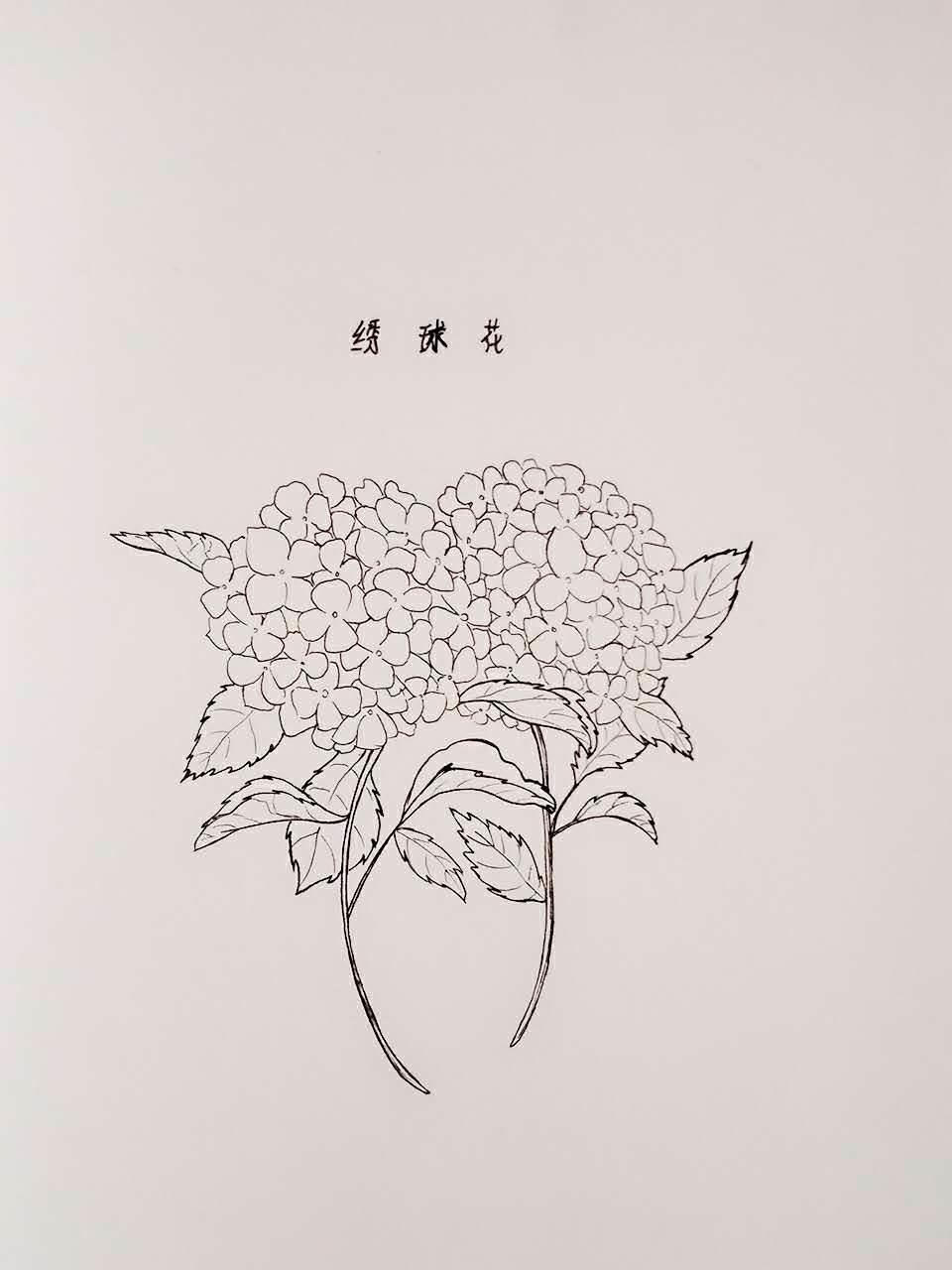 三月三绣球简笔画 三月三绣球简笔画大全彩色