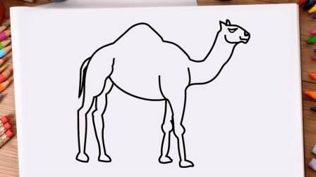 骆驼的简笔画图片大全 骆驼的简笔画图片大全大图