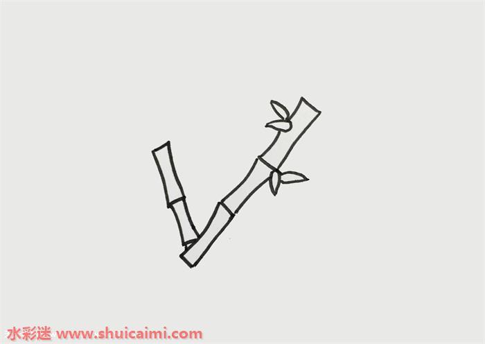 竹子怎么画 竹子简笔画简单彩色