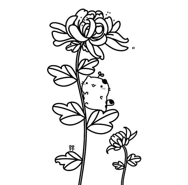 画菊花简笔画图片大全 画菊花简笔画图片大全一年级