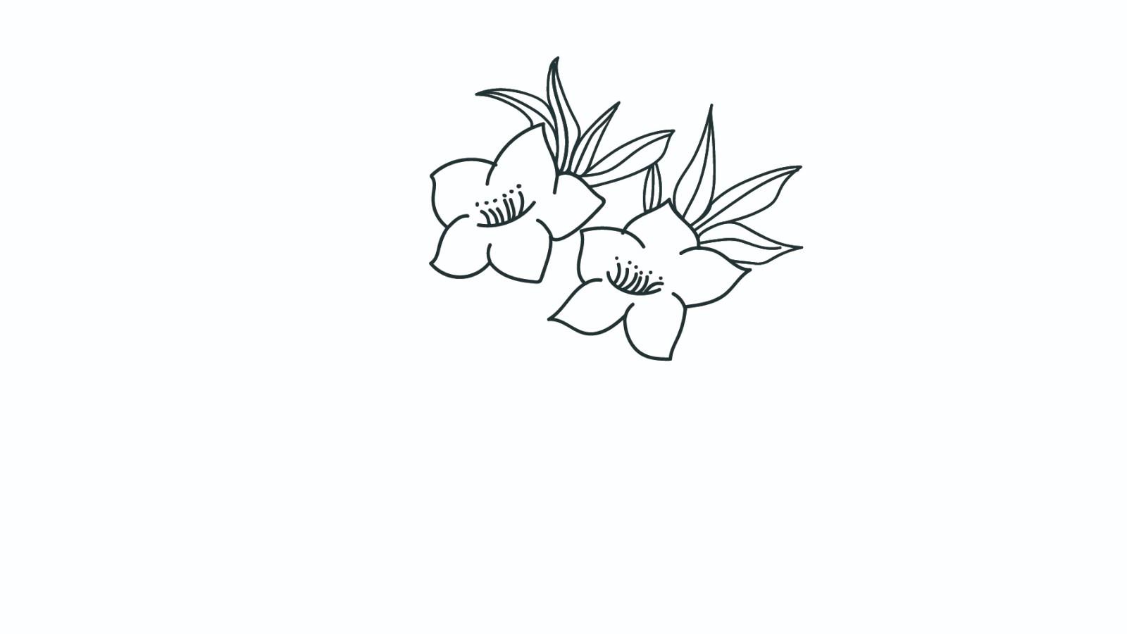 桃花简笔画怎么画 桃花简笔画步骤