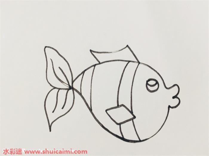 小鱼怎么画 小鱼简笔画步骤