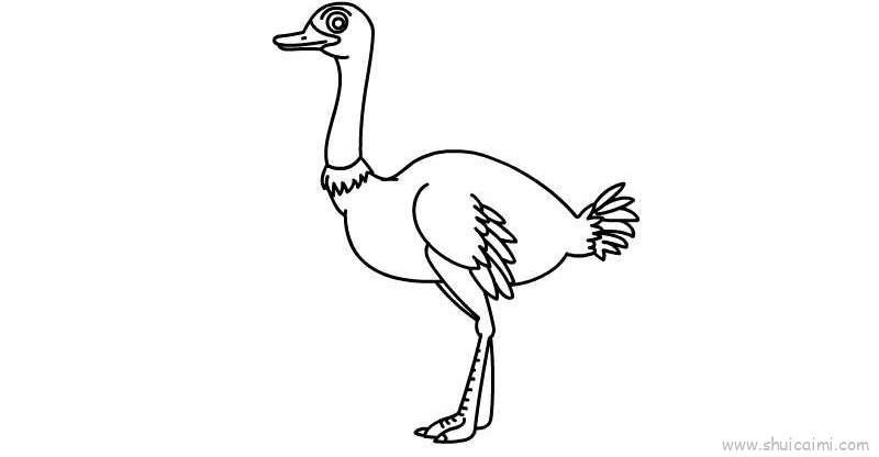 鸵鸟儿童画怎么画 鸵鸟简笔画图片