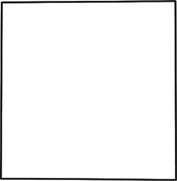 淘气的小鸟的简笔画怎么画 淘气的小鸟简笔画好看