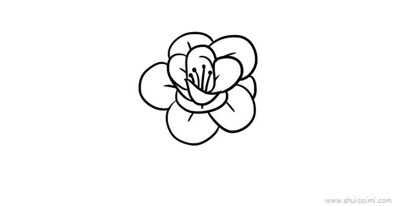 花卉儿童画怎么画 花卉简笔画顺序