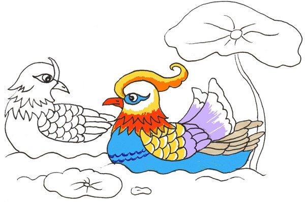 鸳鸯的简笔画怎么画 鸳鸯的简笔画简单又好看