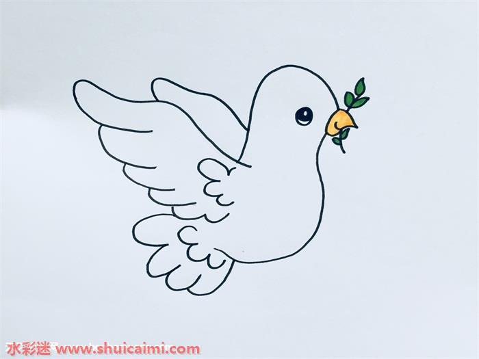 和平鸽怎么画 和平鸽简笔画简单又漂亮彩色