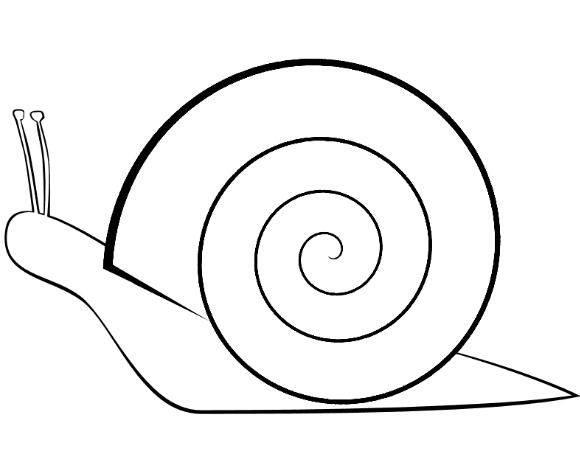 蜗牛简笔画图片大全 蜗牛简笔画图片大全大图彩色