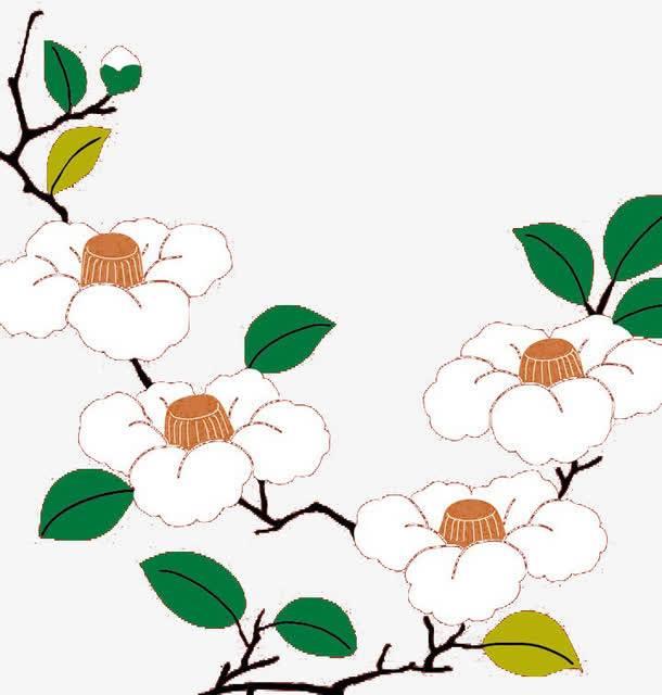山茶花简笔画图片大全 山茶花简笔画图片大全彩色