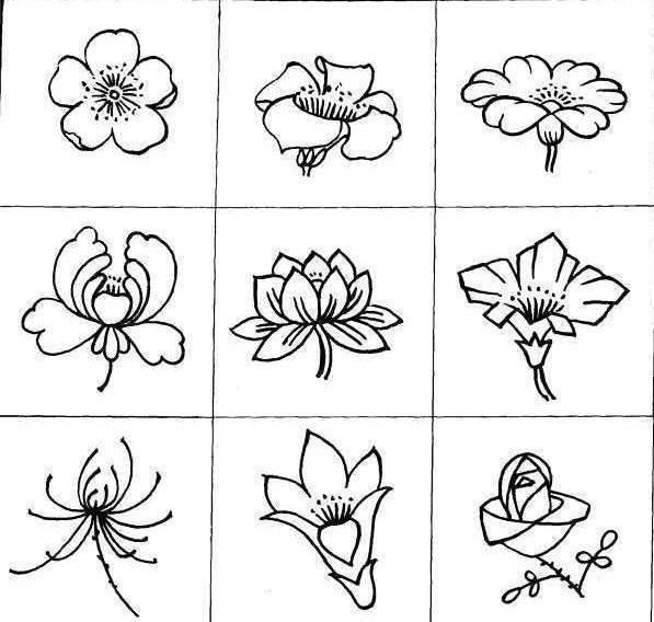 各种花简笔画图片大全 各种花简笔画图片大全大图