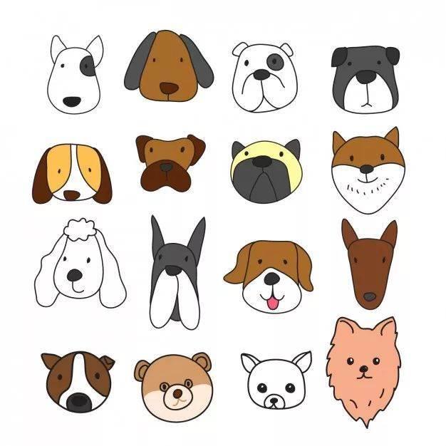 狗的简笔画图片大全 狗的简笔画图片大全可爱简单