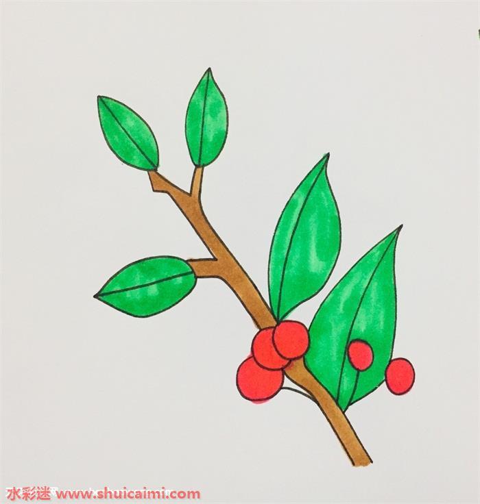 冬青树怎么画 冬青树简笔画漂亮卡通