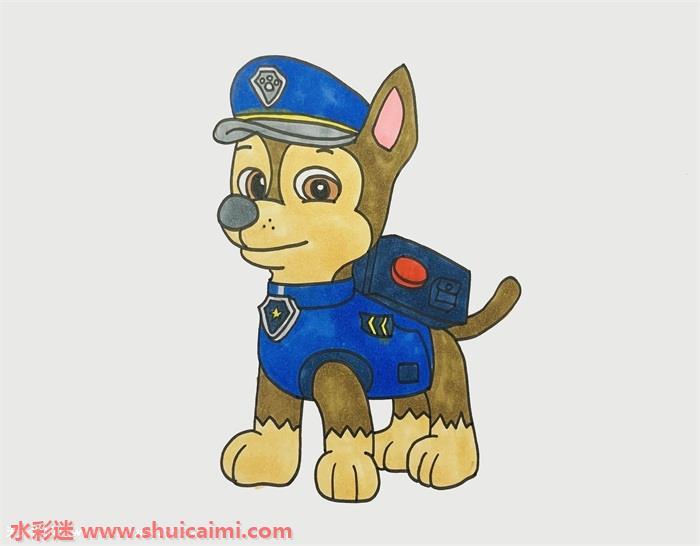 汪汪队的阿奇怎么画 威力狗阿奇彩色简笔画一步一步