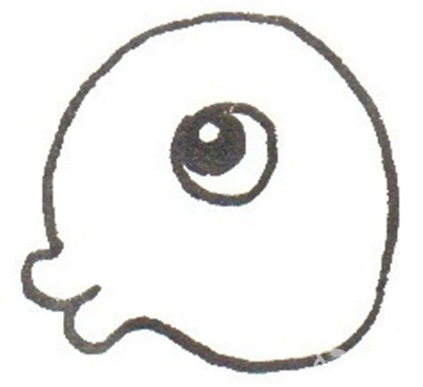 小鲤鱼的简笔画怎么画 小鲤鱼的简笔画好看