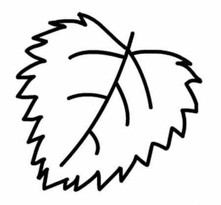 秋天的叶子简笔画 秋天的叶子简笔画图片