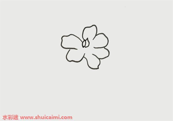 栀子花怎么画 栀子花简笔画简单彩色