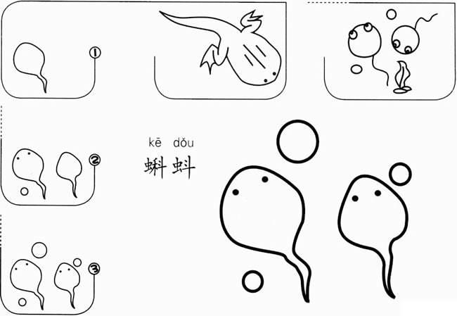 蝌蚪简笔画 蝌蚪简笔画彩色