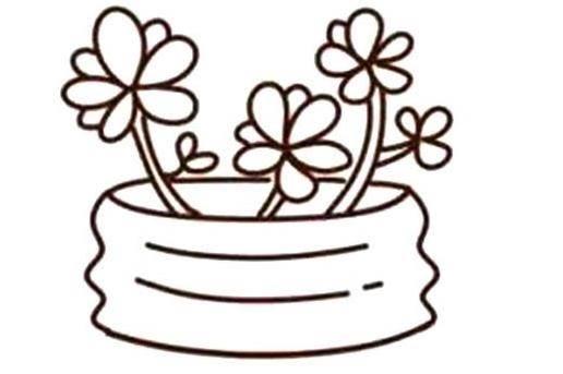 多肉简笔画 多肉简笔画图片大全