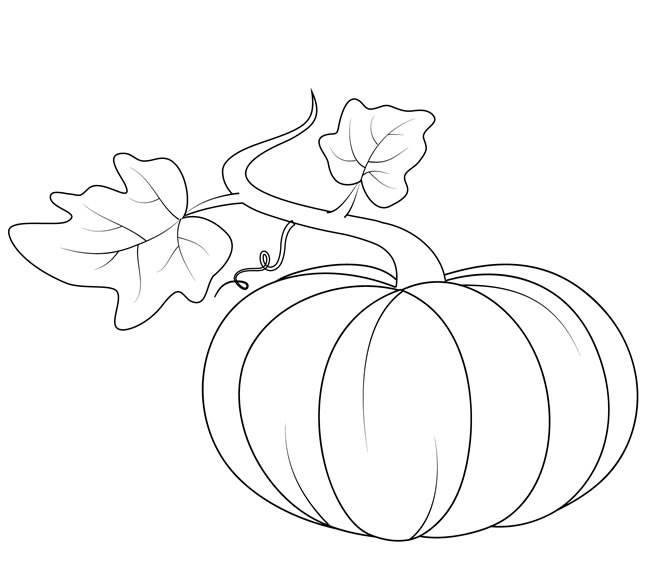 南瓜简笔画 南瓜简笔画怎么画