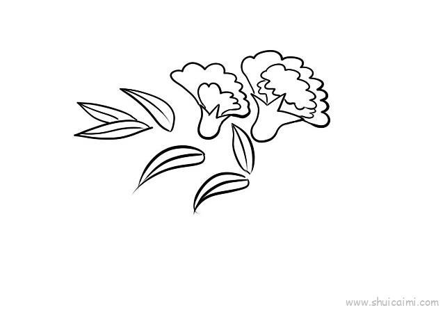 石榴花儿童画怎么画 石榴花简笔画简单又好看