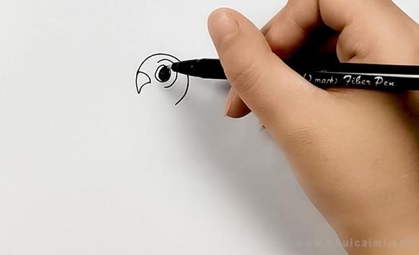 宠物鸟简笔画怎么画 宠物鸟简笔画顺序