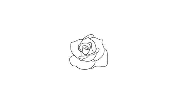 月季花简笔画怎么画 月季花简笔画简单