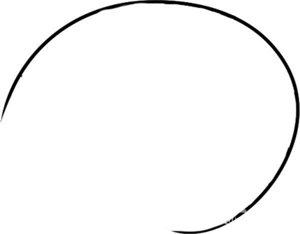 探出头的海螺的简笔画怎么画 探出头的海螺简笔画画法