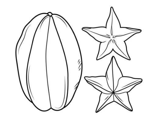 种子简笔画图片大全 种子简笔画图片大全可爱