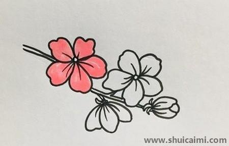 简单的桃花简笔画教程步骤