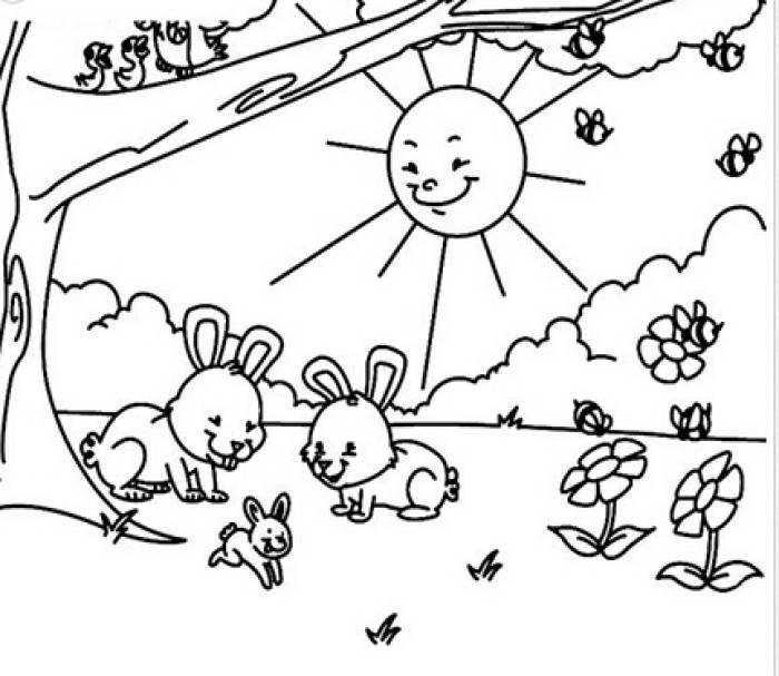 情景简笔画图片大全 情景简笔画图片大全带颜色