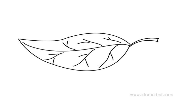叶子简笔画怎么画 叶子简笔画简单又好看