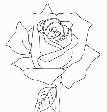 花简笔画 花简笔画罂粟花