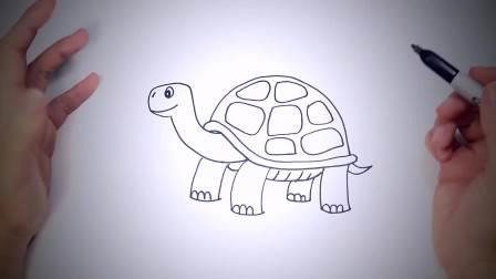 乌龟简笔画图片 乌龟简笔画图片大全可爱