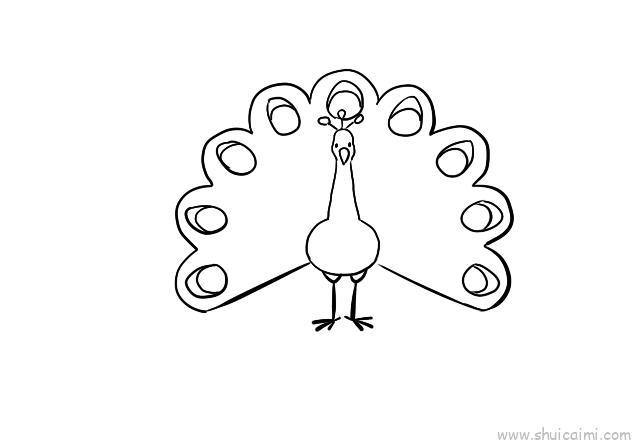 孔雀开屏儿童画怎么画 孔雀开屏简笔画步骤