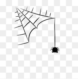 蜘蛛网简笔画 蜘蛛网简笔画图片大全