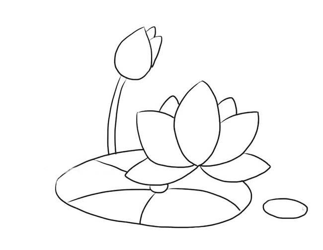 荷花简笔画 荷花简笔画怎么画